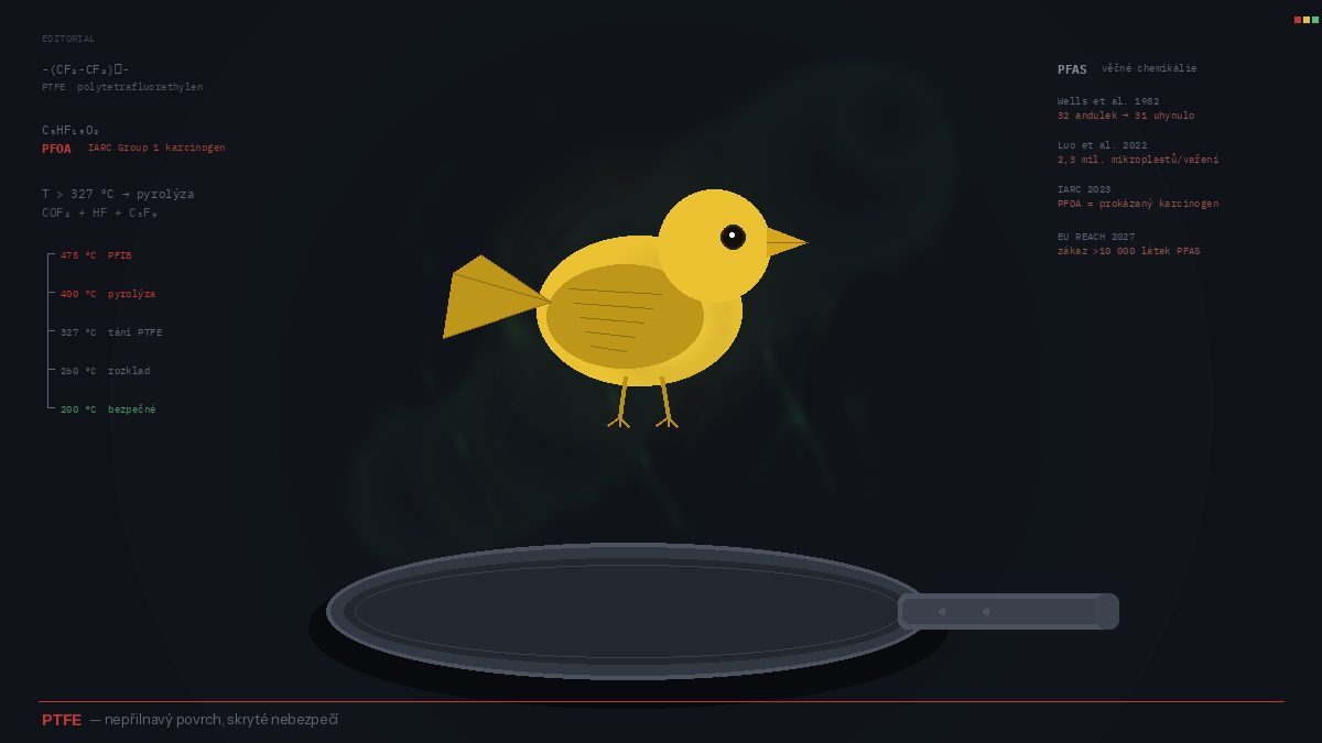 Canaries in the Kitchen: What We Know About Teflon Safety in 2025